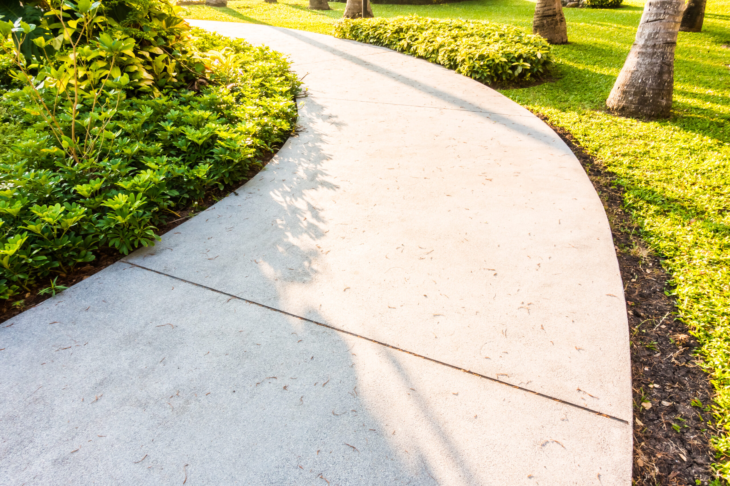 Stone path way in the garden decoration outdoor view