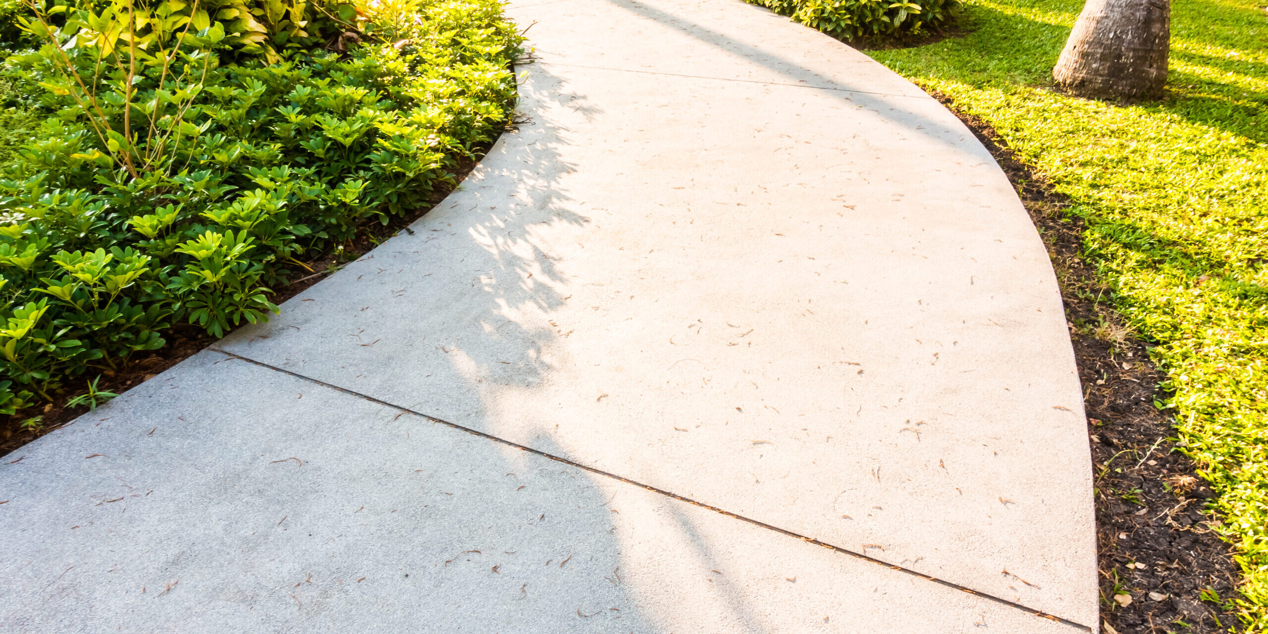 Stone path way in the garden decoration outdoor view